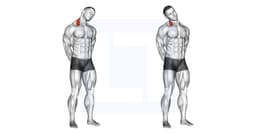 Neck Lateral Flexion
