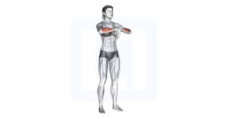 Wrist Extensor Stretch