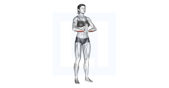 Wrist Flexor Stretch